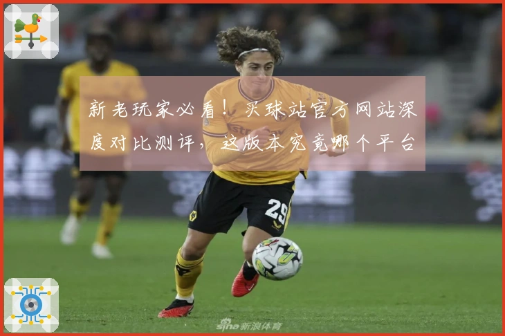 新老玩家必看！买球站官方网站深度对比测评，这版本究竟哪个平台体验更香？
