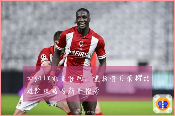 回归im电竞官网，重拾昔日荣耀的进阶攻略与新手指导