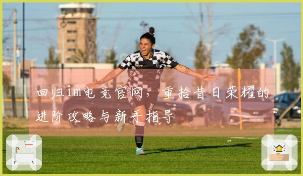 回归im电竞官网，重拾昔日荣耀的进阶攻略与新手指导