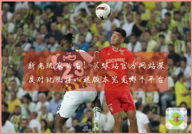 新老玩家必看！买球站官方网站深度对比测评，这版本究竟哪个平台体验更香？