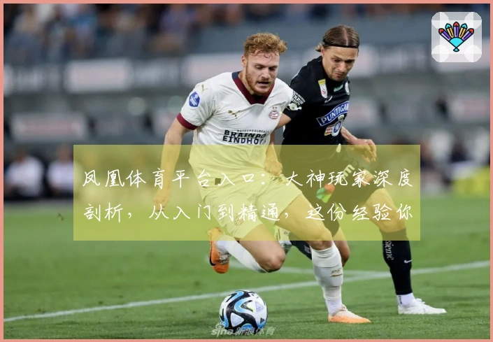 凤凰体育平台入口：大神玩家深度剖析，从入门到精通，这份经验你绝对不能错过！