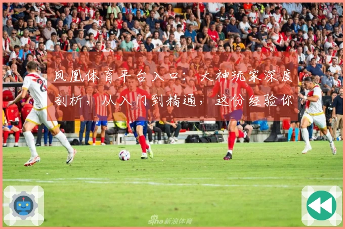 凤凰体育平台入口：大神玩家深度剖析，从入门到精通，这份经验你绝对不能错过！